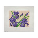 Irises