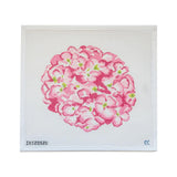 Pink Hydrangea