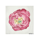 Pink Peony